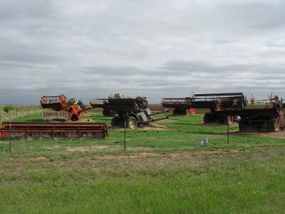 2009 (9)