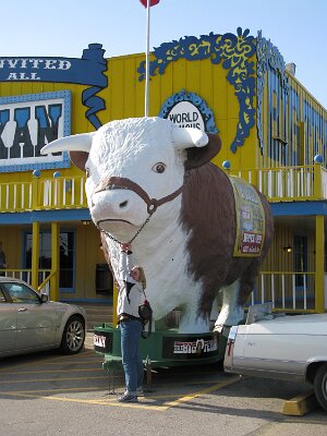 2009 Big Texan (4)