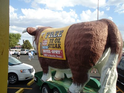 2011 Big Texan (20)