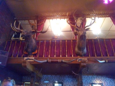 2014-08-29 Big Texan (7)