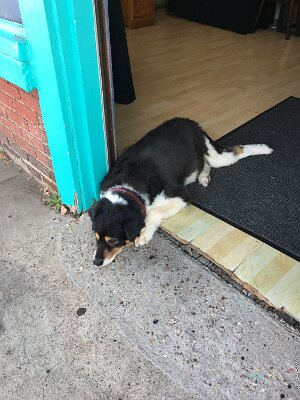 2019-09-12 Amarillo (13)