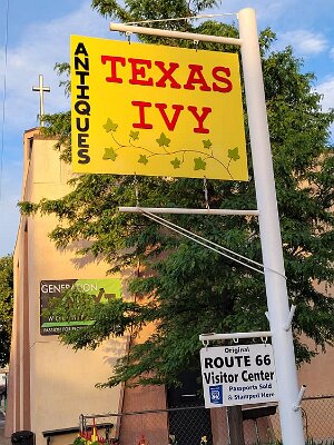 2021-05 Texas Ivy 2