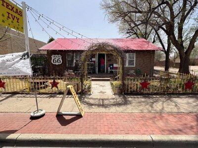 2022-04 Amarillo - Texas Ivy by Janice Duryea