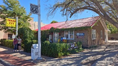 2024-09-29 Amarillo - Texas Ivy by Clemens Kauling