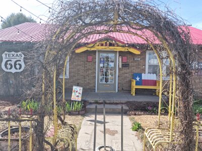 2026-03-18 Amarillo - Texas Ivy (1)