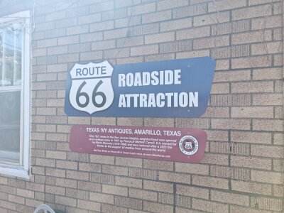 2026-03-18 Amarillo - Texas Ivy (2)
