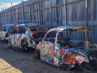 Bug Ranch