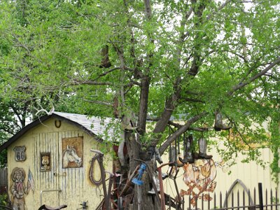 2009 (1)