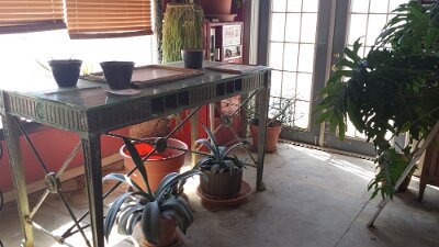 2015-04-09 Vega Roark Hardware (57)