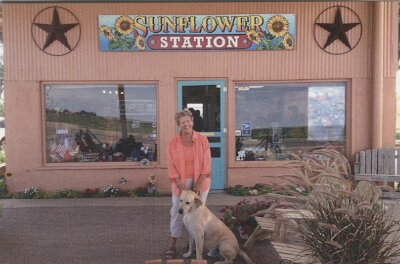 201x Sunflower station (2)