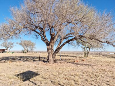 2026-03-21 Glenrio - Broyles (4)