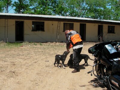2009 Longhorn motel (1)