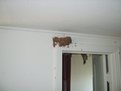 2011-07 Longhorn motel (1)