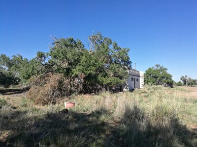 2017-05-11 Glenrio (23)