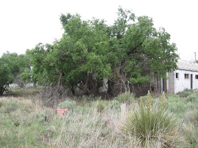 2019-05-10 Glenrio (25)