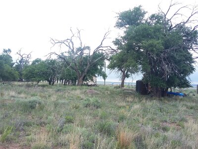 2019-05-10 Glenrio (10) ALCSIIF5PM ¬Î    ïÁ  zÿÿsëÿÿ±ªÿÿ/¿  ÿÿþ   Ï ÿÿ1Ò    ®[  Éa  pZ  ÿ`  Þ  ÿ¬;a¿Zbù[G    áú                                    t  £°  ...