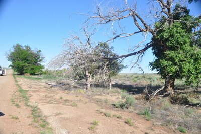 2017-05-11 Glenrio (14)