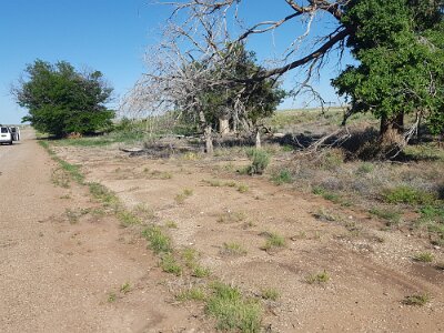 2017-05-11 Glenrio (33)