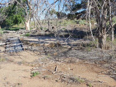 2017-05-11 Glenrio (36) IICSA   II