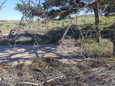 2017-05-11 Glenrio (37) IICSA   II