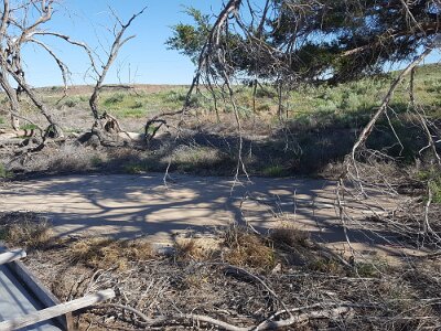 2017-05-11 Glenrio (38) IICSA   II