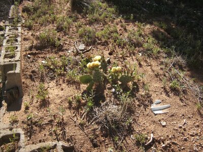 2017-05-11 Glenrio (42)