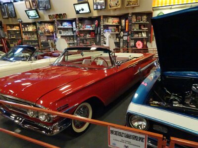 2016-09-09 Russels (24)