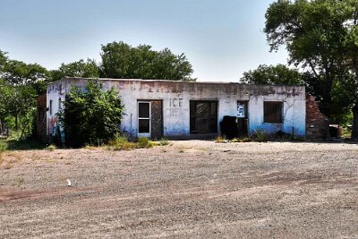 2022 Dilia by Tim Emerich 1