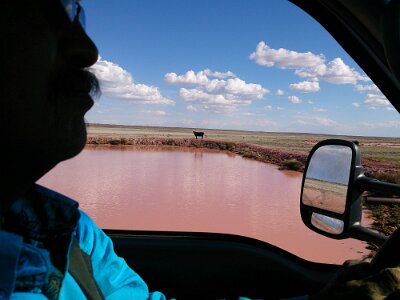 2015-04-13 Mesa Padre ranch (127)