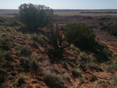 2015-04-13 Mesa Padre ranch (152)