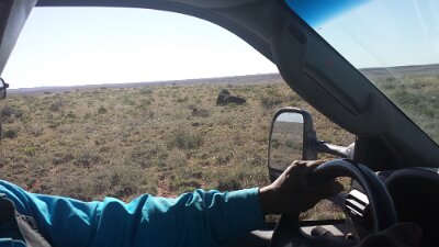 2015-04-13 Mesa Padre ranch (172) METADATA-START  MUUUUUUÞ­¾ï   2      2; |   UUUUUUUUÞ­¾ï        UUUUUUUUÞ­¾ïUUUUUUUUÞ­¾ï  UU   UUUUUUUUÞ­¾ï  UUUUUUUUUUUUUUUUUUUUUUUUUUUUUUUUUUUUUUUUUUUUUU...