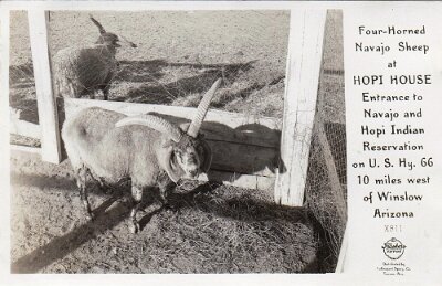 19xx Leupp Corner - Hopi House 3