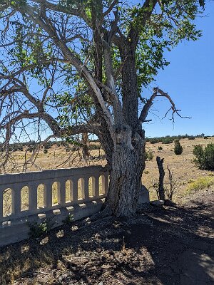 2023-10 Partridge Creek bridge by Blue Miller 2