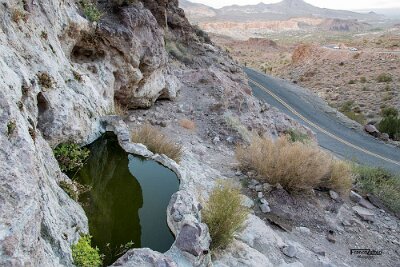2018 Shaffers Fish Bowl 1