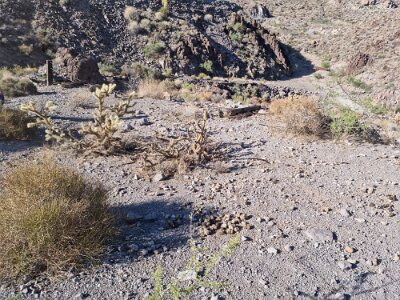 2022-07-19 NOTR section east of Goldroad (2)