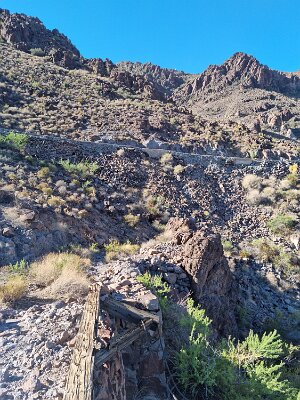 2022-07-19 NOTR section east of Goldroad (5)