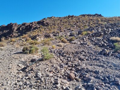2022-07-19 NOTR section east of Goldroad (6)