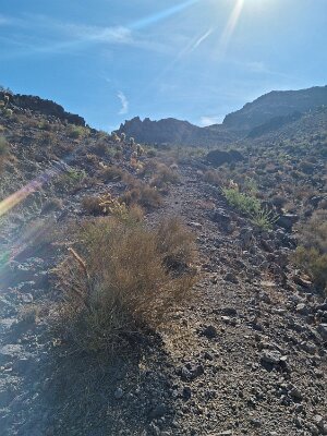 2022-07-19 NOTR section east of Goldroad (8)
